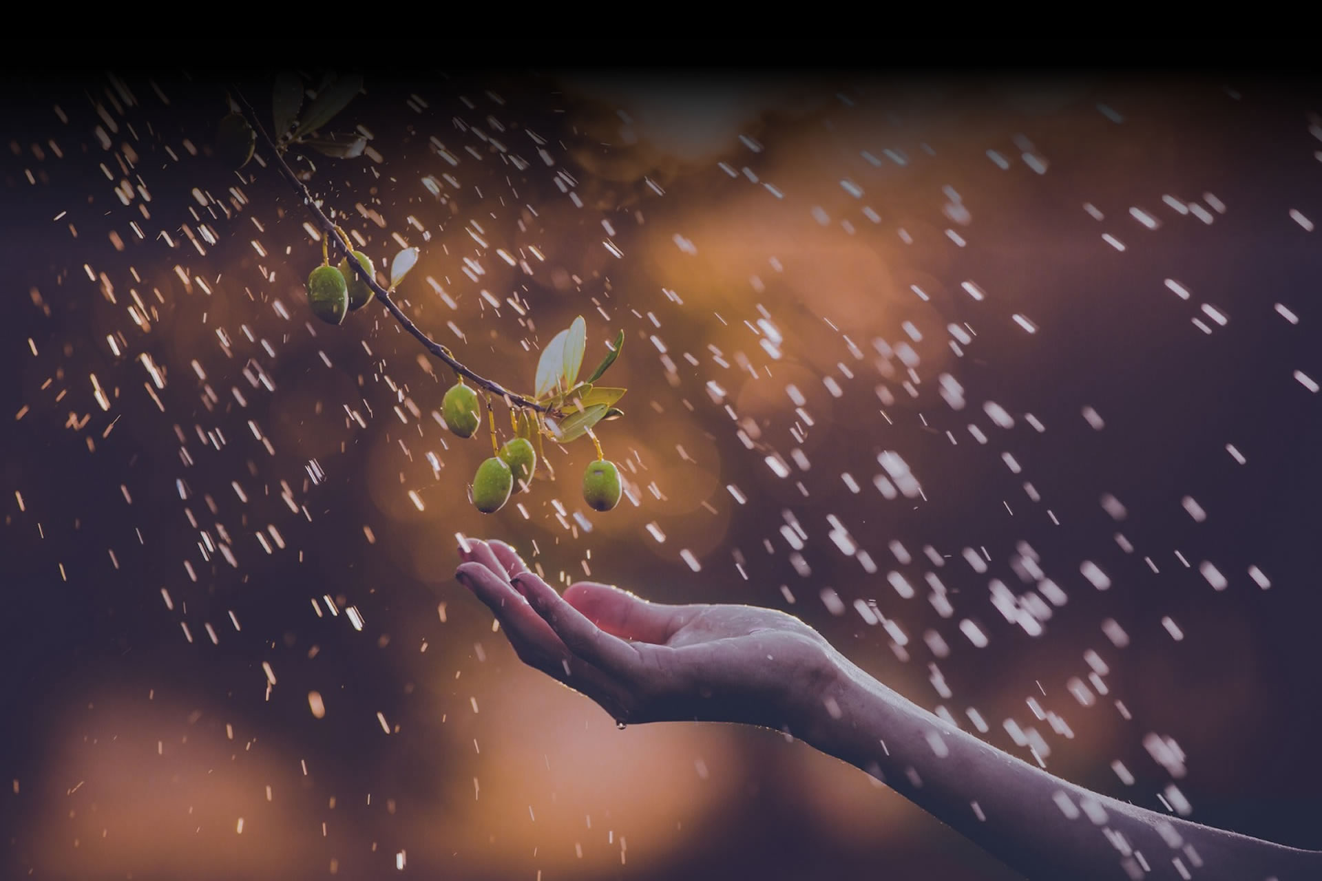 Meriç Çiftliği Çiftlik Ürünleri