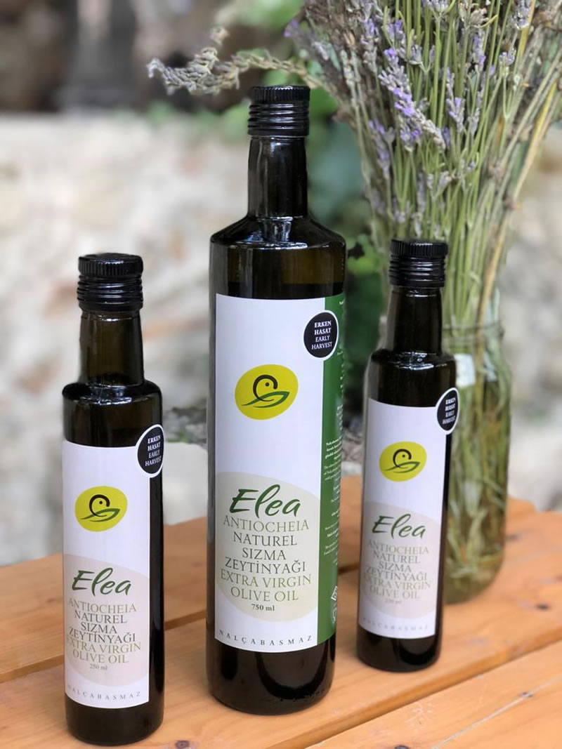 Nalçabasmaz |  Zeytinyağı