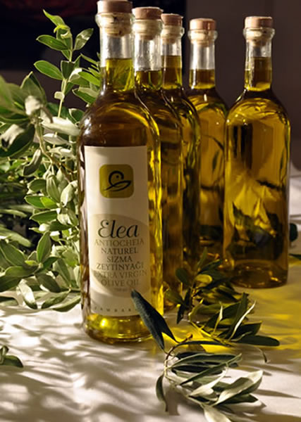 Nalçabasmaz |  Zeytinyağı