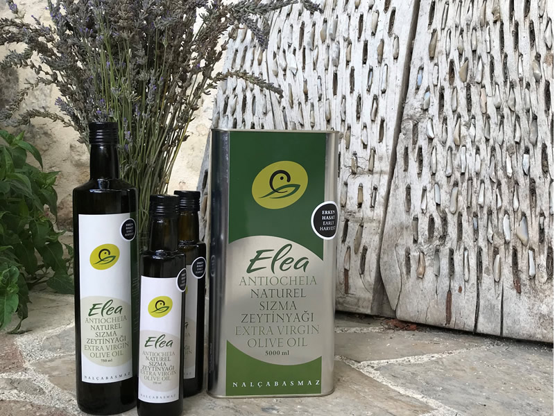 Nalçabasmaz |  Zeytinyağı