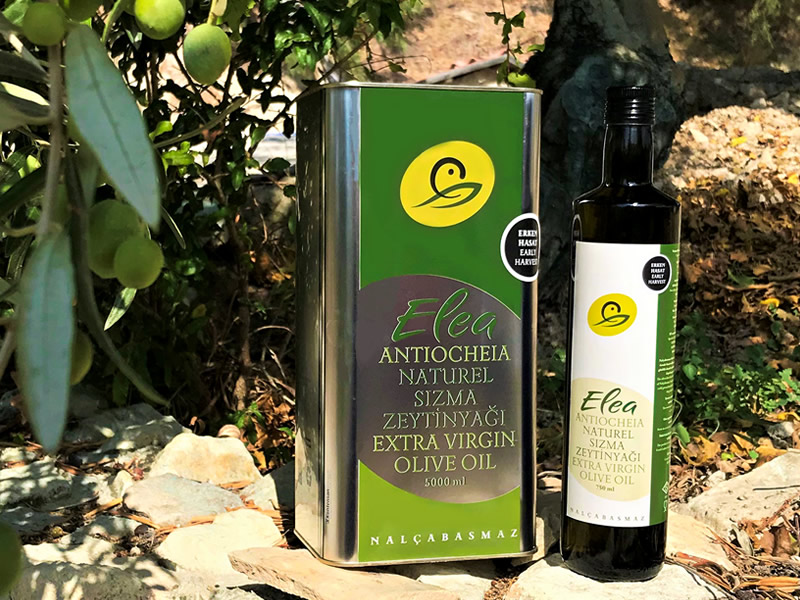 Nalçabasmaz | Zeytinyağı