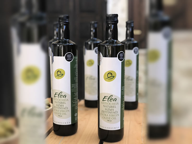 Nalçabasmaz |  Zeytinyağı